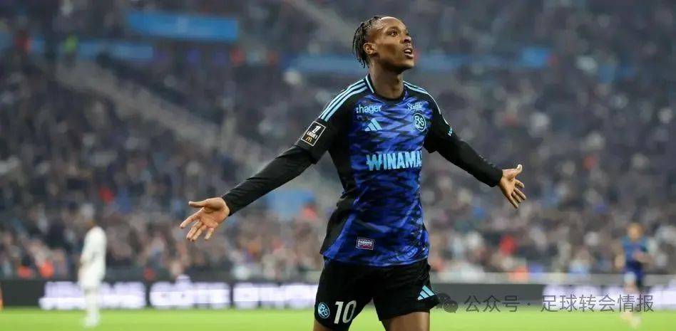 教下的巴西 教下的巴西